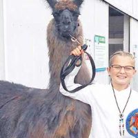 October 8, 2020 Coshocton County Beacon October 8, 2020 Coshocton County Beacon