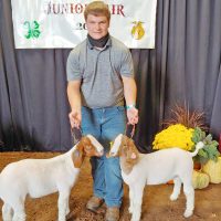 Cannon takes high honors in goat show Cannon takes high honors in goat show