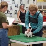 Brinker named showman of showmen at the Coshocton County Fair