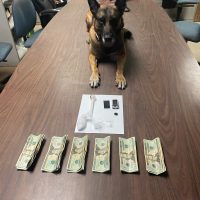 K-9 Chili discovers large amount of suspected drugs K-9 Chili discovers large amount of suspected drugs