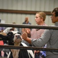 Friends of the livestock auction seeks donations