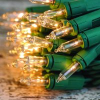 Holiday string light recycling going on now Holiday string light recycling going on now