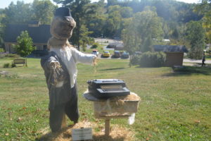 Scarecrow Clark by the Coshocton County Beacon took third place.