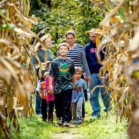 How the Mighty Maze at KOA is made