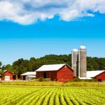 Learn to plan for the future of your farm