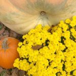 Fun family activities for fall are plenty in Coshocton County