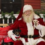 Christmas Palooza planned at All Paws on Deck