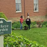 Roscoe Garden Elves looking for help