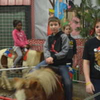 Holiday cheer spread at A Touch of Country Christmas