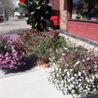 Coshocton in Bloom recognized at symposium