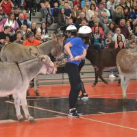 Donkey basketball brings huge crowd to Ridgewood Middle School