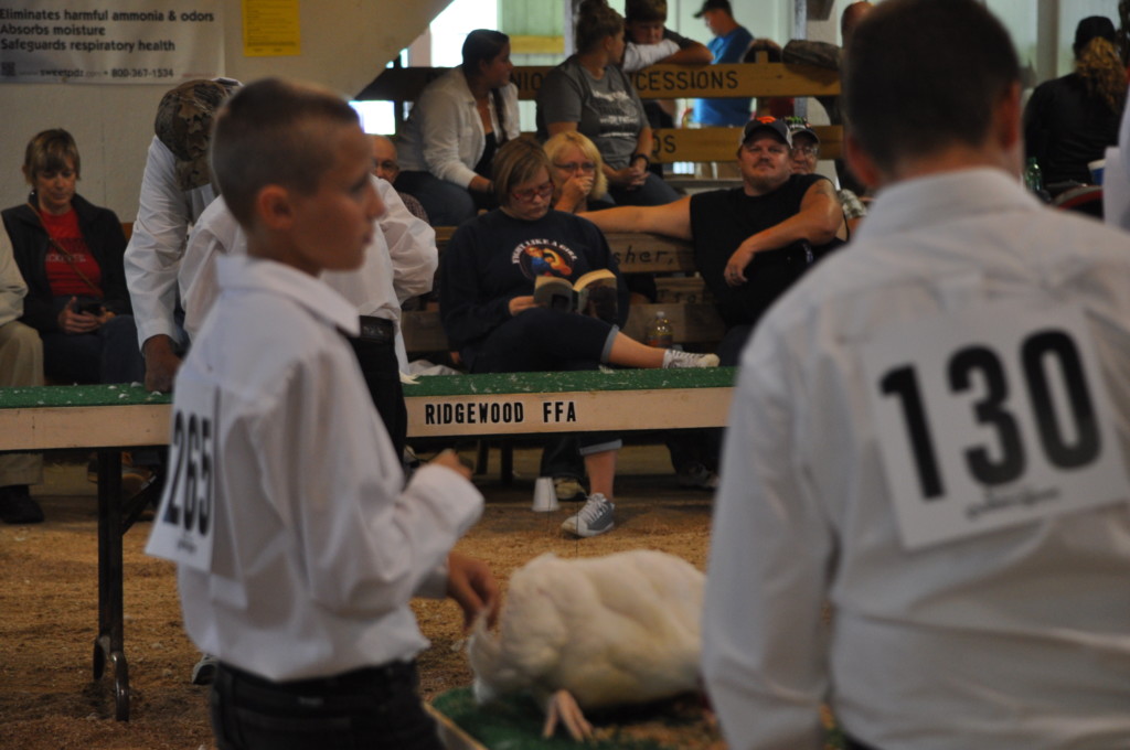 Poultry Show11