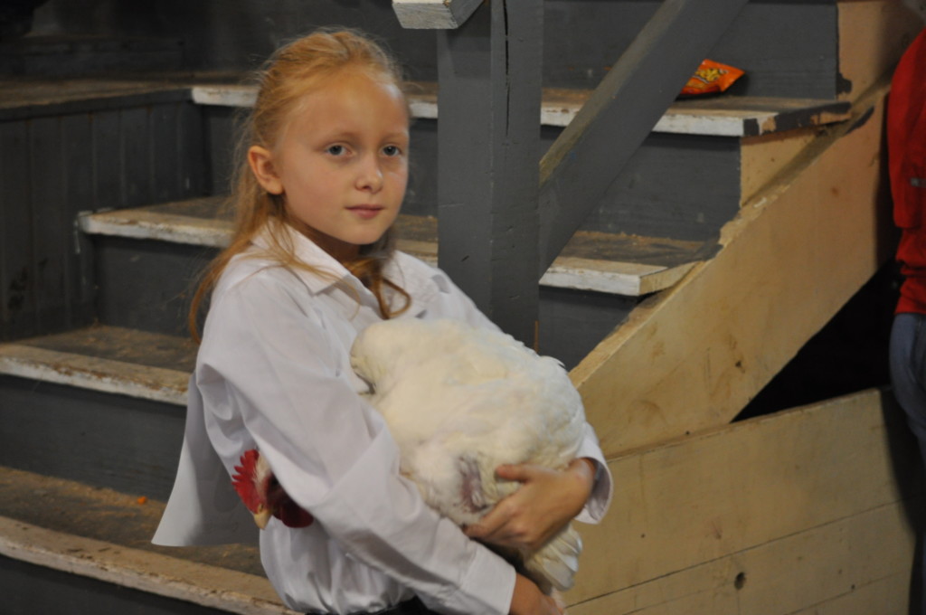 Poultry Show13
