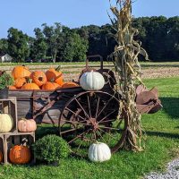 Enjoy fall activities at Schumaker Farms