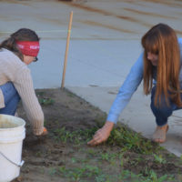 Volunteers help with artPARK landscaping