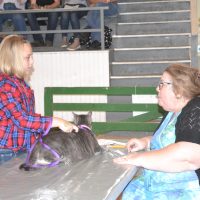 Small animal show tests owner’s knowledge of pets